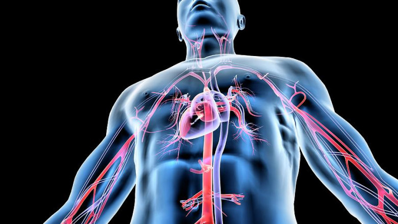 Growth in Sales of Cardiovascular Information System Market to be Largely Driven by Rising Consumer Adoption