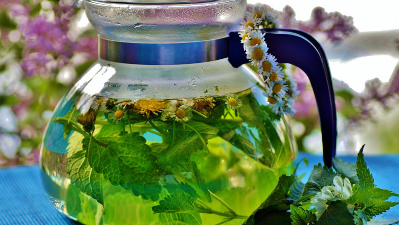 Herb Infusions Market - Global Industry Analysis 2026