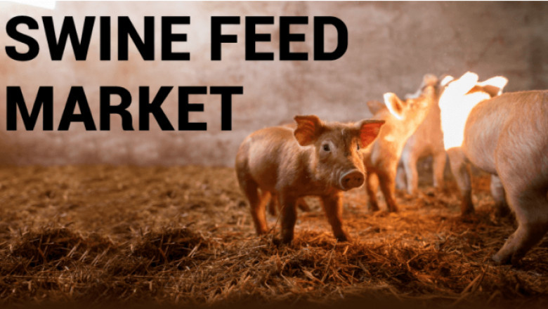 Swine Feed Market Growth, Size, Share, Demand, Trends and Forecasts to 2027