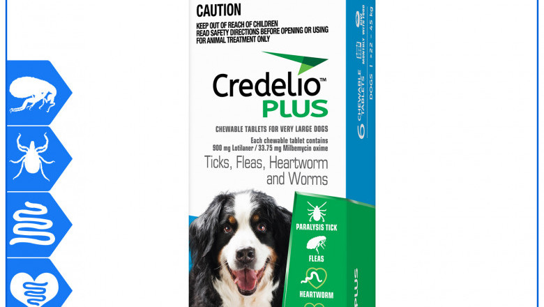 Credelio Plus All round parasite protection for 22 to 45 Kg Dogs