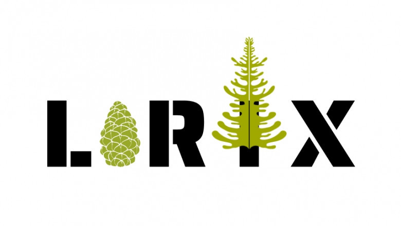 Larix Technologies - Best SEO Services in India.
