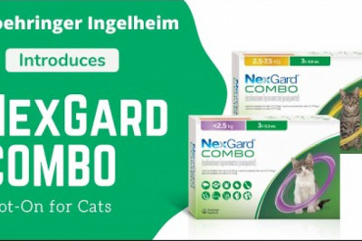 Boehringer Ingelheim Introduces NexGard COMBO Spot-On for Cats