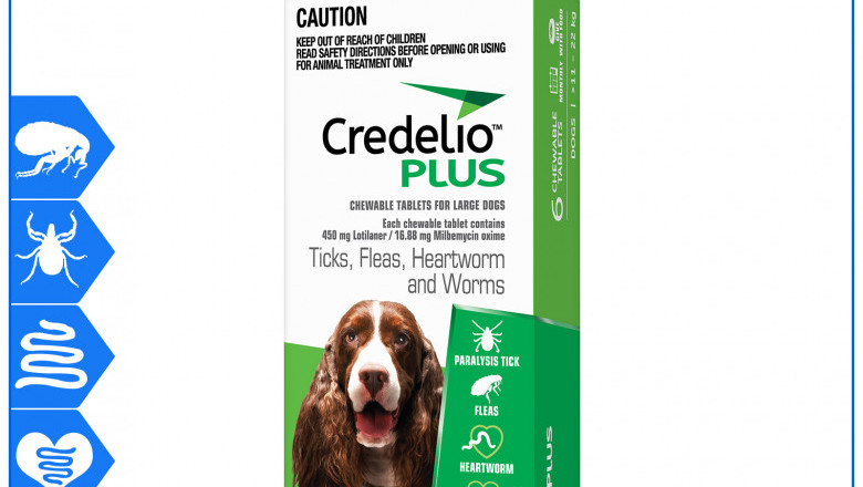 Credelio Plus Allrounder parasite protection for 11 to 22 Kg Dogs