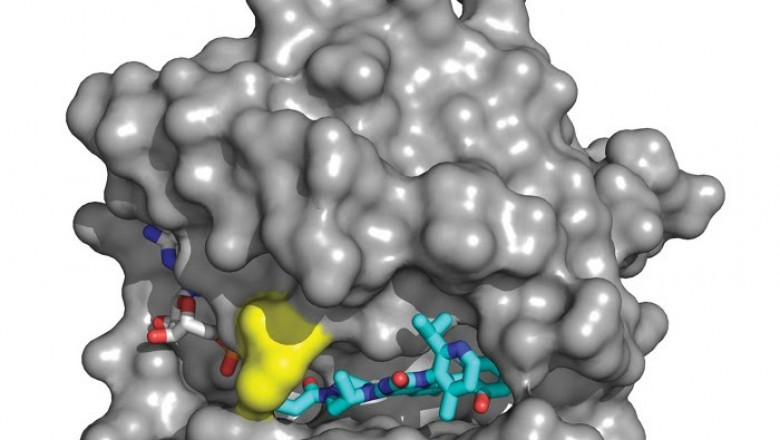 As chronic diseases, such as cancer, are becoming more prevalent, theNovel Drug Delivery System (NDDS) Market is expected to grow.