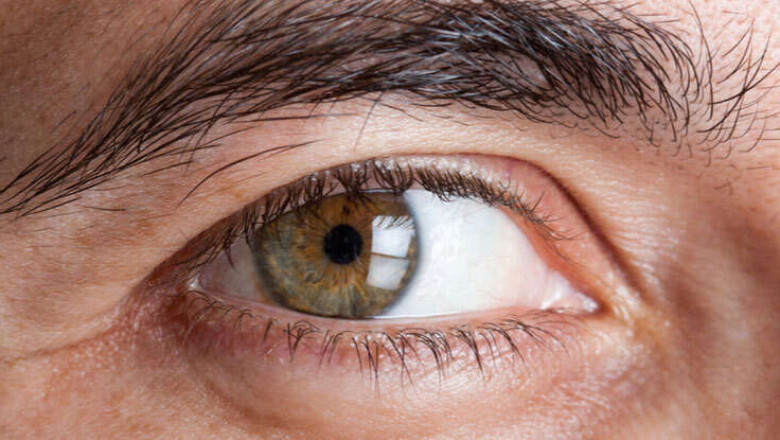 Diabetic Retinopathy Market 2021: Size, Upcoming Trends, On-Going Demand, Growth and Forecast from 2021 to 2027