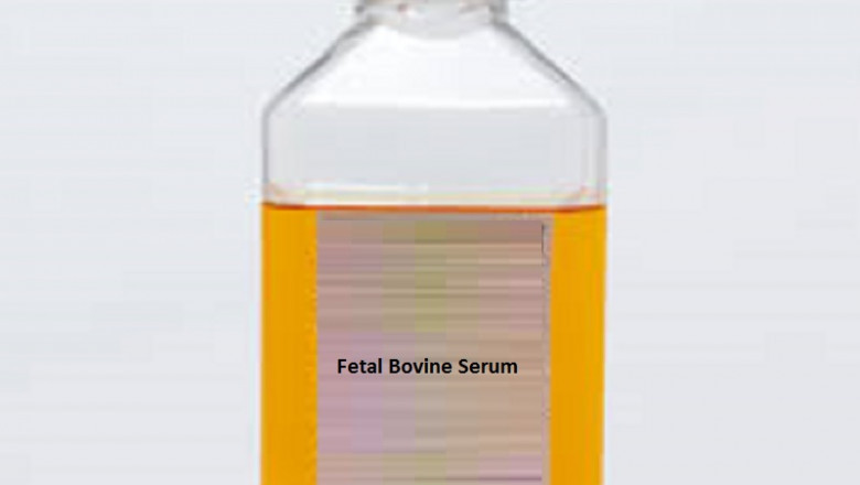 Fetal Bovine Serum Market research by dbmr forecast to 2028