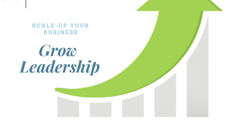 4 Things Great Leaders Have In Common