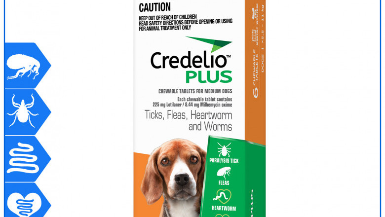 Credelio Plus Allrounder parasite protection for 5.5 to 11 Kg Dogs