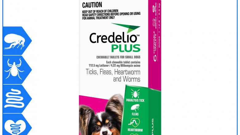 Credelio Plus Allrounder parasite protection for 2.8 to 5.5 Kg Dogs