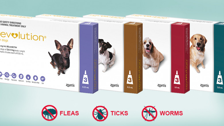 REVOLUTION: Solution For 3 Problems (Fleas, Ticks And Worms in Dogs) | DiscountPetCare