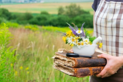 Herbs For Female Reproductive Health - List of Herbs For Female Reproductive Health