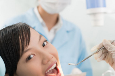 MetLife Dental PPO Plan