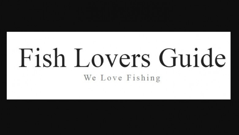 The way to Uncover Fly Fishing Instruction Online