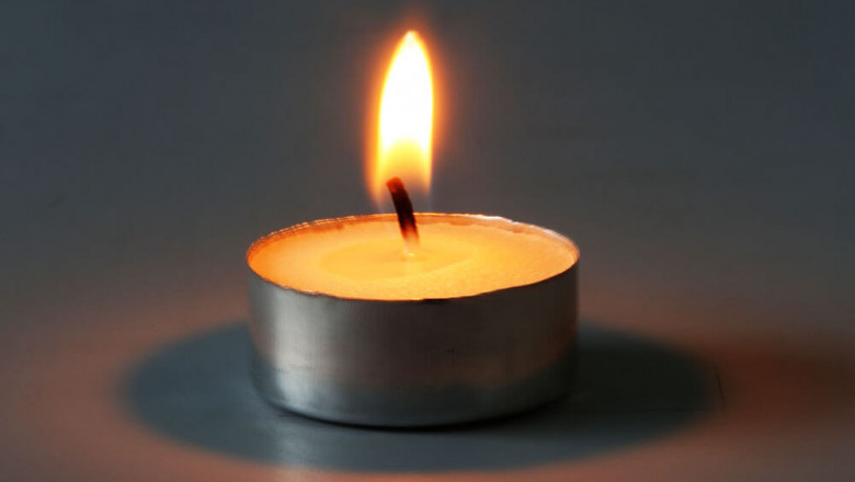 Buy Tea Light Candles Online | Palm Wax Tea Light Candles