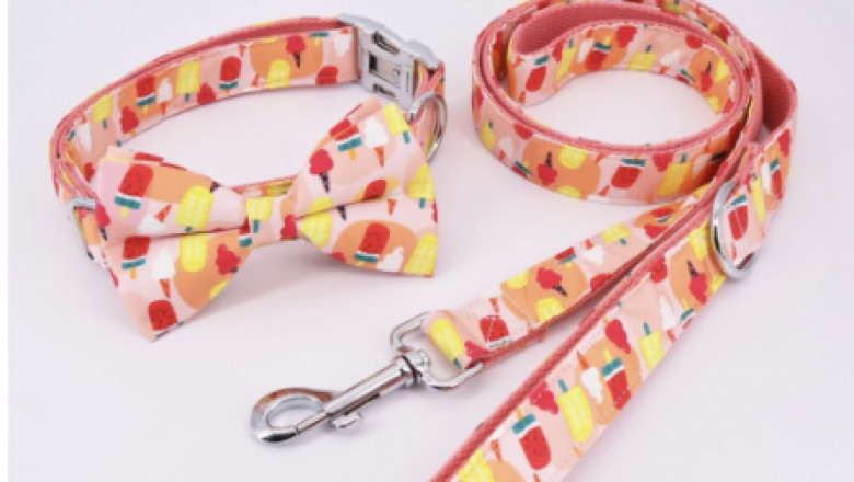 Dog collar - Free Engraving | Ice Cream Theme Collars and Leashes for Dogs | Personalized Dog Collars