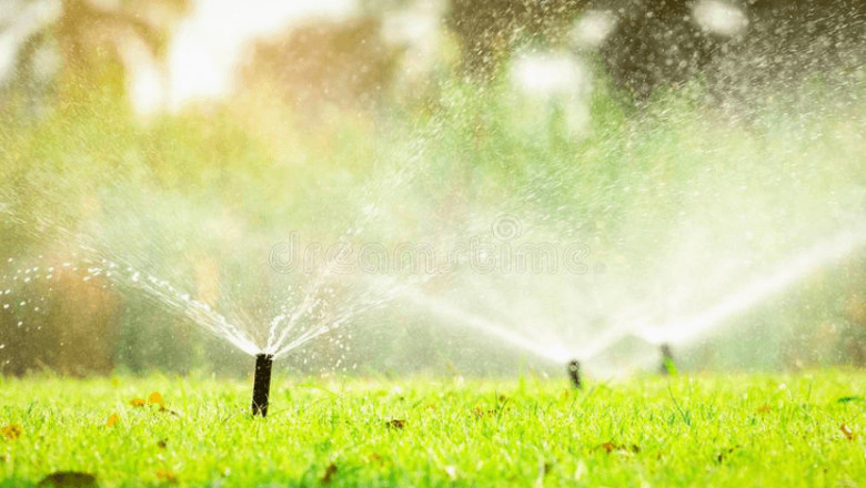 Things to Avoid When Landscaping in Hot Weather