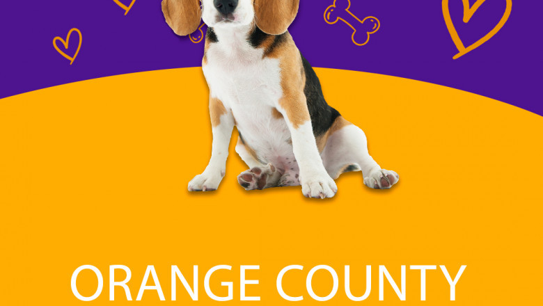 Best Pet Cremation in Southern California