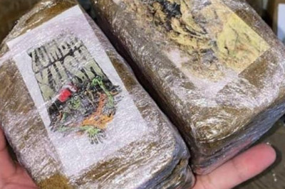 BuyZombie Kush Hash Online