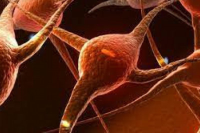 Specific Mitochondrial Disorders Treatment Depends Upon Their Severity and Diagnosis