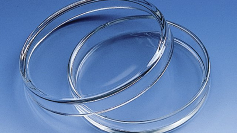 In Clinical Immunology or Veterinary Medicine, one can use Petri Dish to look at the structure and function of immune-regulatory factors