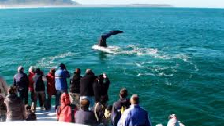 Kabura Travel & Tours