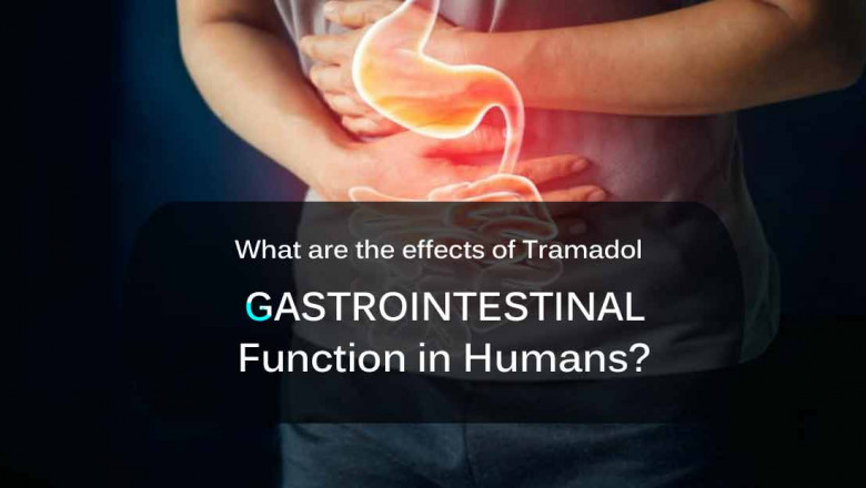 What are the effects of Tramadol gastrointestinal function in humans?