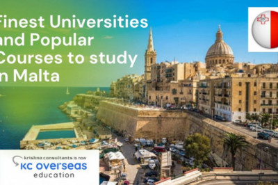 Popular Courses to Study in Malta for International Students
