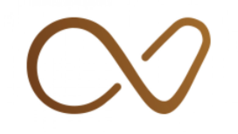 The Several Solutions Furnished by Web Style Agencies