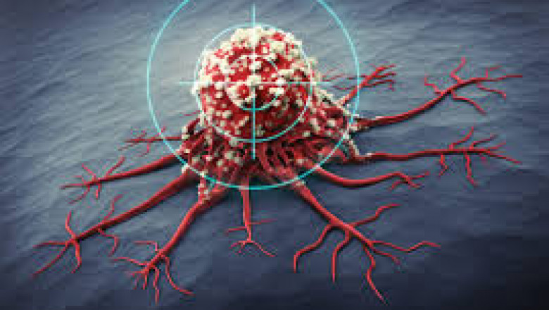 Targeted Cancer Therapies are medications that inhibit cancer development and proliferation by interfering with specific molecules
