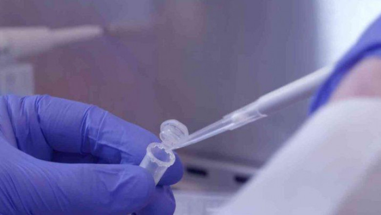 Viral Vectors and Plasmid DNA Manufacturing has enabled major pharmaceutical companies to scale up their existing DNA technologies