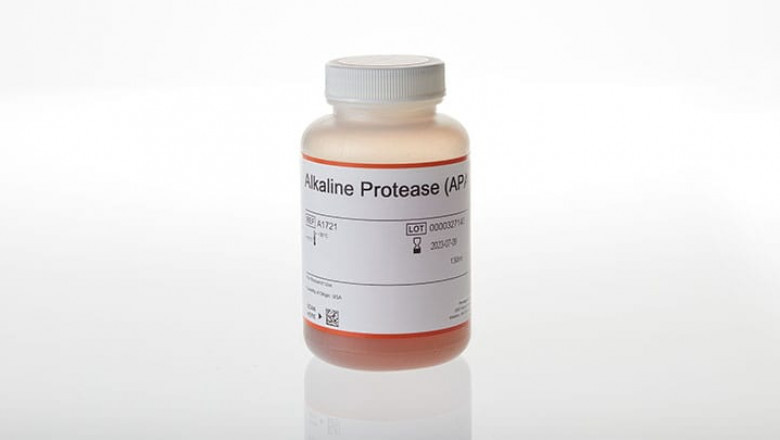Alkaline Proteases Market Growth, Trends and Forecast
