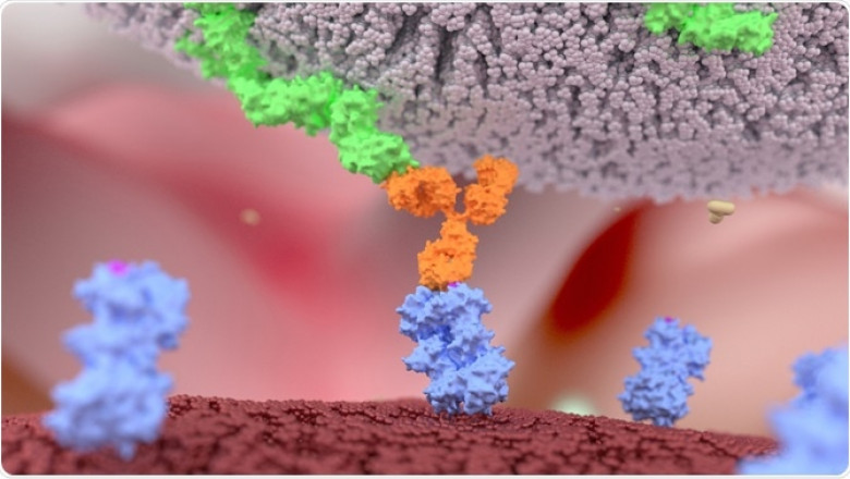 Bispecific Antibodies Market : Global Industry Trend Analysis and Forecast