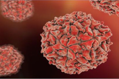 Due to their high conductivity, fluoropolymer films can be used to insulate Polypropylene (PP) pipes at high temperatures