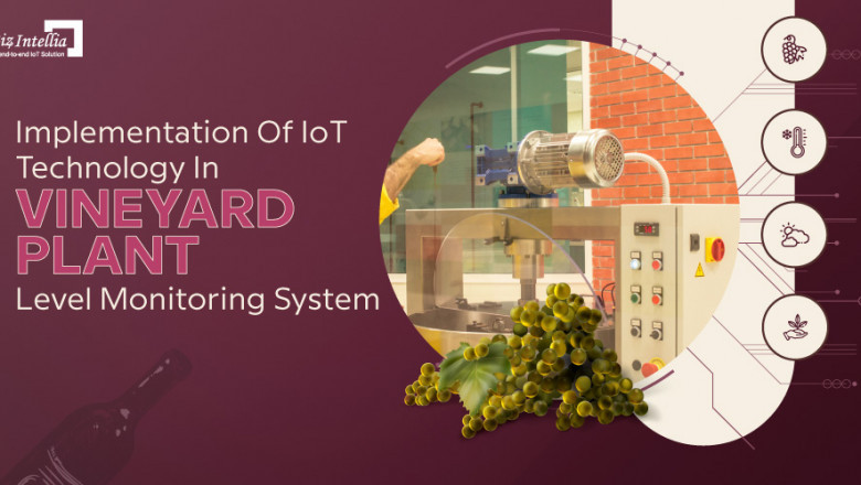 Implementation of IoT technology in vineyard plant level monitoring system