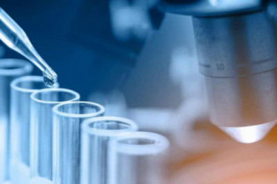 Endocrine Testing Market to Witness Increasing Revenue Growth During the Forecast Period 2020–2027