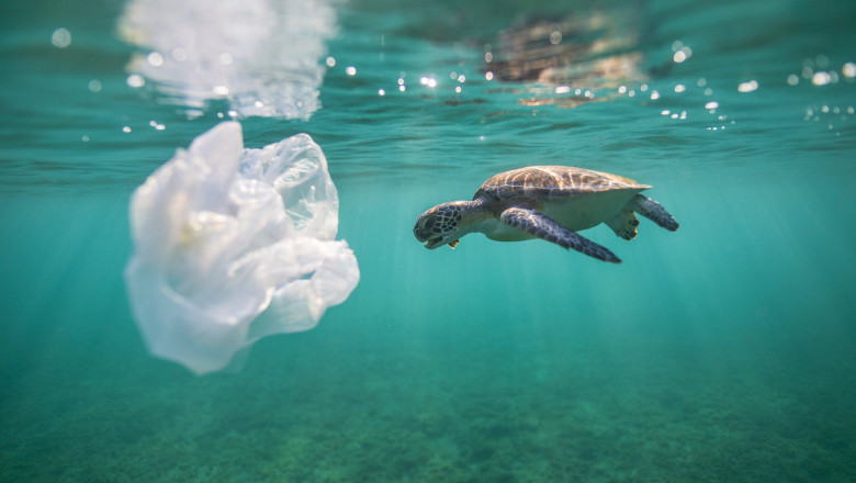 Green Energy Tech Focuses on Recycling Waste Plastics into Clean Burning Fuels, Clean Vision Corp. (OTC: CLNV) CLNV is Uplisting to the OTCQB