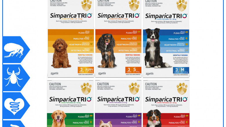 SIMPARICA TRIO Monthly Worm Flea Tick Control 3 Chews for Dogs