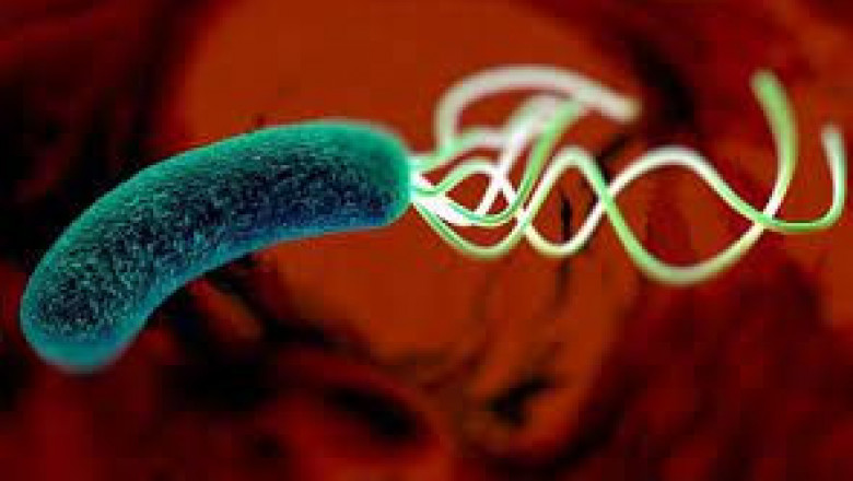 Growth in Sales of Helicobacter Pylori Diagnostics Market to Push Revenue Growth in the Market