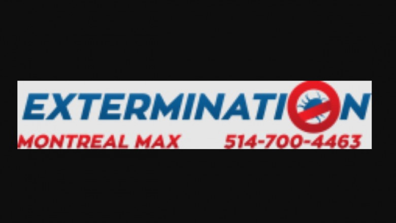 Key Times for Emergency Pest Control