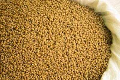 Non-Protein Nitrogen in Feed Market Insights Business Opportunities, Current Trends and Restraints - 2027