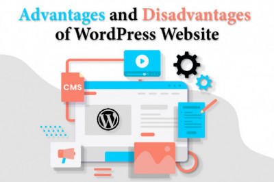 Advantages and disadvantages of Word Press Website