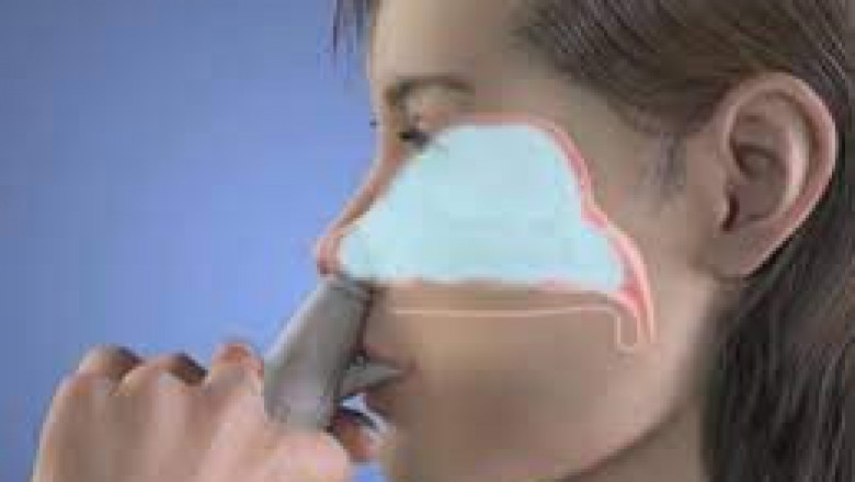 Nasal Drug Delivery Systems Market Poised To Garner Maximum Revenues During 2026