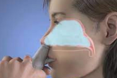 Nasal Drug Delivery Systems Market Poised To Garner Maximum Revenues During 2026