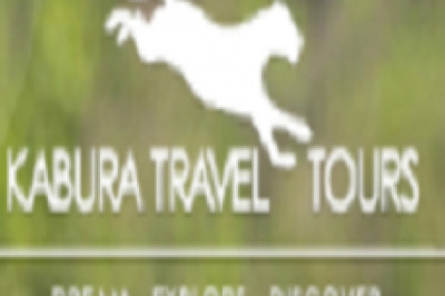 Cape Town Private Tours