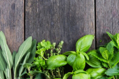 Herb Shop - How to Choose Best Herb Shop in Pakistan