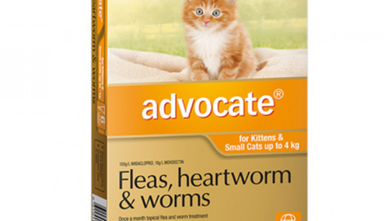 Advocate For Cats | Flea, Heartworm & Intestinal Worm | DiscountPetCare