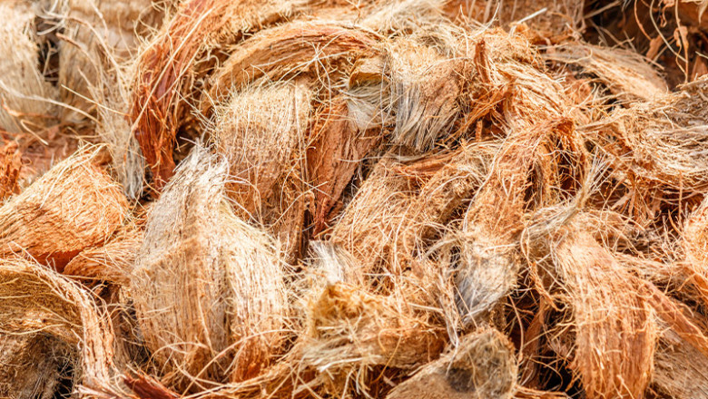 Coconut Coir Market - Global Industry Analysis, Size, Share, Growth, Trends, and Forecast