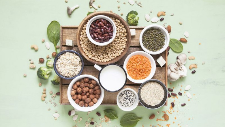 Growing demand for plant-based protein is creating growth opportunities for food processing companies in Russia
