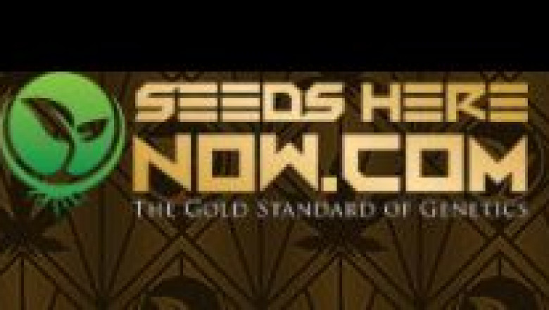 Omuerta Genetix Seeds for sale