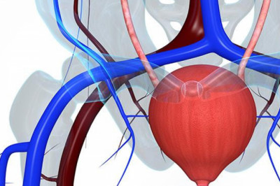 Overactive Bladder Therapeutics Market Grows With Changing Consumer Preferences & New Opportunities